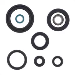 Комплект сальников двигателя P400510400072