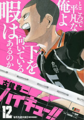 Haikyuu!! Vol. 12 SJR (На Японском языке)