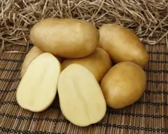 Семенной Картофель Импала, Э (2кг)