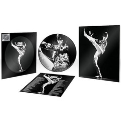 David Bowie / The Man Who Sold The World (Limited Edition)(Picture Disc)(LP)