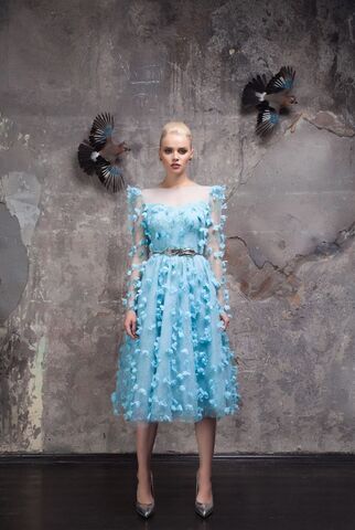 Fall/Winter 2016 Limited edition