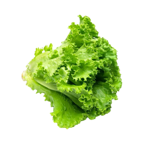 Листья салата шт