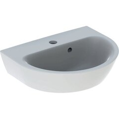 Раковина Geberit Renova: Белый, B=45см, H=17.3см, T=36см, Отверстие под смеситель=По центру, Перелив=На виду фото