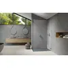 Radaway 10103120-91-01 Essenza Pro Brushed Nickel Walk-in 120