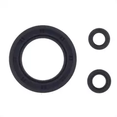 Комплект сальников двигателя P400510400072