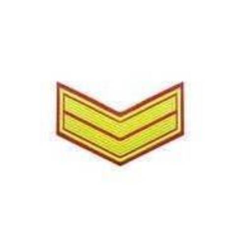 Курсовка резиновая красная  галочка  2 курс