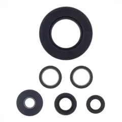 Комплект сальников двигателя P400510400072