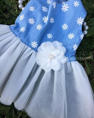 5176 BH Платье для собак, бело-голубое "Florence Dress - BLUE"