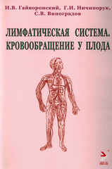 Лимфатическая система. Кровообращение у плода