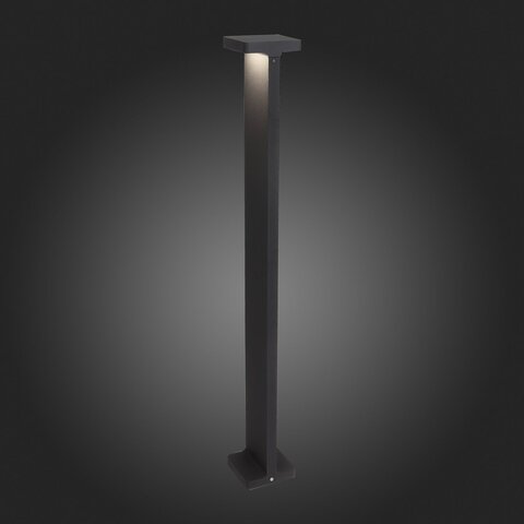 Светильник уличный ST Luce Distesa SL095.445.02