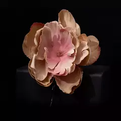 Невидимка с цветком
