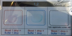 Тест для определения группы крови собак