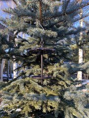 Кормушка\поилка для птиц 4 в 1 «Цветок», молотковый коричневый
