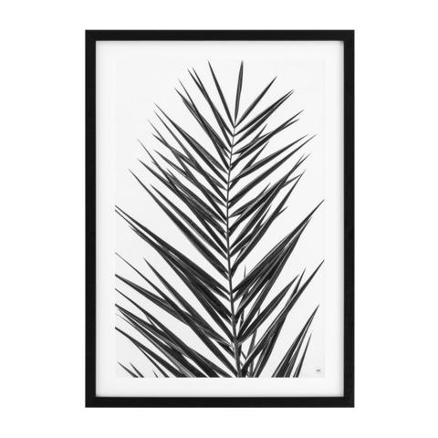 Постеры Eichholtz 112195 EC274 Palm Leaves (2 шт.)