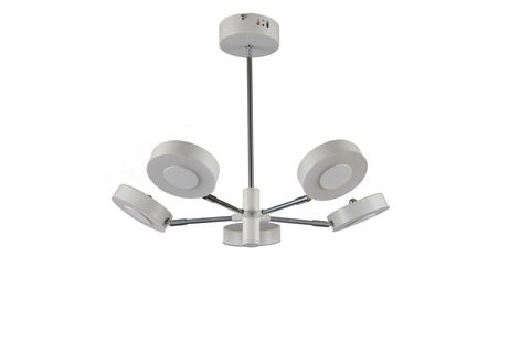 Люстра Freya Gabby FR6009PL-L55W