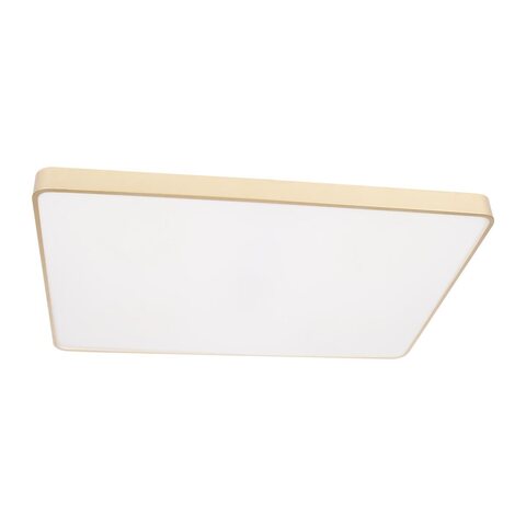 Потолочный светодиодный светильник Loft It Flims 10228/E