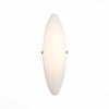 Светильник настенный ST Luce Snello SL508.511.01