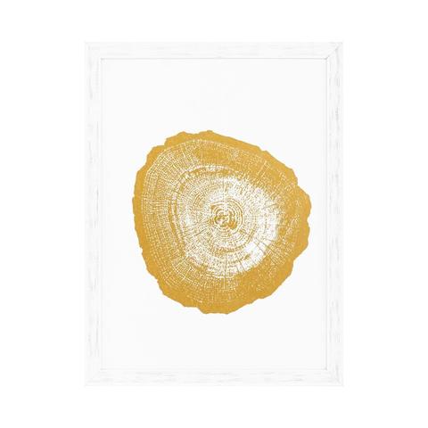 Постеры Eichholtz 110875 EC257 Gold Foil: Tree Rings