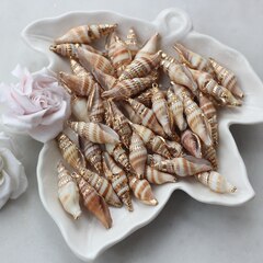 Подвеска Ракушка с позолотой 27-42 на 8-15 мм, РК048