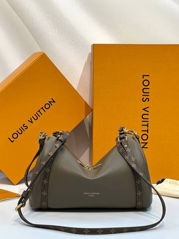 Сумка Louis Vuitton Express