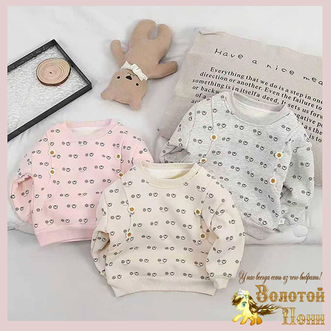Свитшот хлопок детский (2-6) 251002-R2181