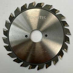 Подрезная составная пила WoodTec для форматно-раскроечных станков Ø120 х 22 х 2,8-3,6 Z = 12 + 12