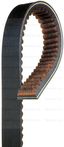 Ремень вариатора GATES G-FORCE 48G5122  1299 мм х 37 мм (АРГО вездеходы)