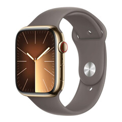 Apple Watch Series 9 45 мм Stainless Steel Gold with Sport Band Clay S/M