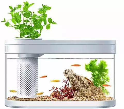 Акваферма Xiaomi Geometry Fish Tank Aquaponics Ecosystem C180 Standart Set (белый)