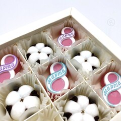 Форма пластиковая для конфет Хлопок МИНИ (4 ячейки)