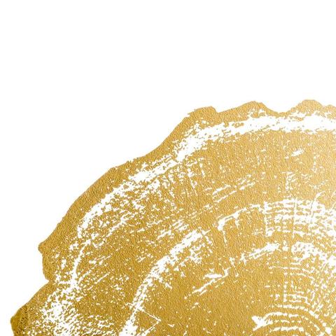 Постеры Eichholtz 110875 EC257 Gold Foil: Tree Rings