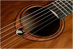 Гитара электроакустическая LAG SAUVAGE DCE