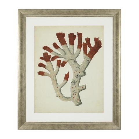 Постер Eichholtz 111741 Antique Red Corals