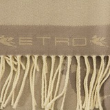 Плед из шерсти и шелка ETRO