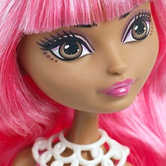 Джинджер Брендхаус. Книжная Вечеринка