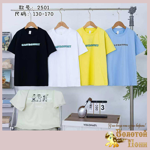 Футболка хлопок м (5-9) 260119-SL6133