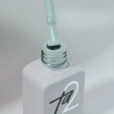 Гель-лак Ta2 / цветной гель-лак №099