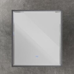 Cezares CZR-SPC-INT-1000-900-LED-TCH-WARM-TIT INTERNI Интерьерное зеркало с контурной подсветкой, сенсорным выключателем и подогревом, 1000x900, Титан фото