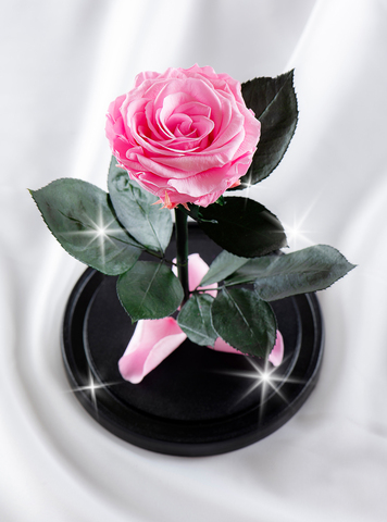Роза в колбе премиум вип розовая