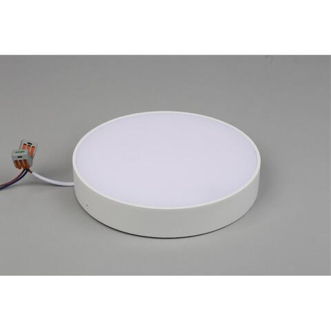 Потолочный светодиодный светильник Aployt Evon APL.0114.09.24