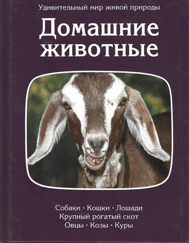Домашние животные