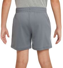 Детские теннисные шорты Nike Boys Dri-Fit Multi+ Graphic Training Shorts - smoke grey/white/white