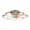 Люстра потолочная ST Luce Riccioli SL906.203.06