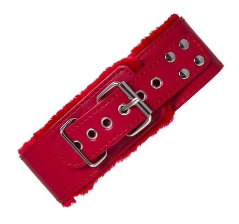 Красный ошейник с металлической фурнитурой - Toyfa Basic 886105