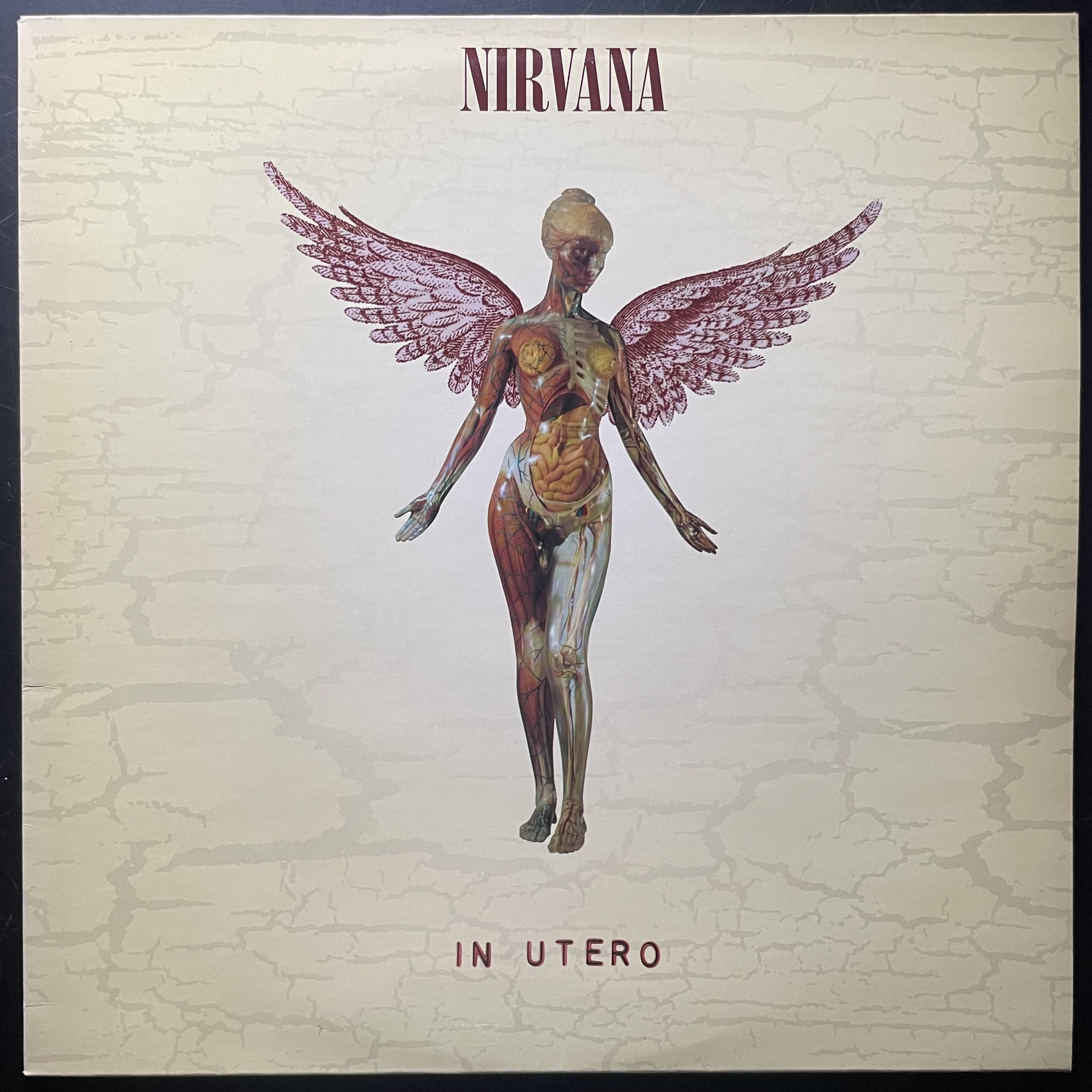 In Utero (30th Anniversary) (Vinyl): Nirvana: Amazon.ca: Music