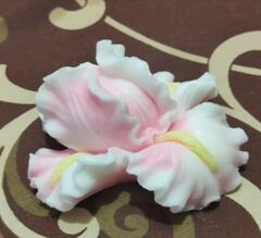 Силиконовый молд Ирис большой