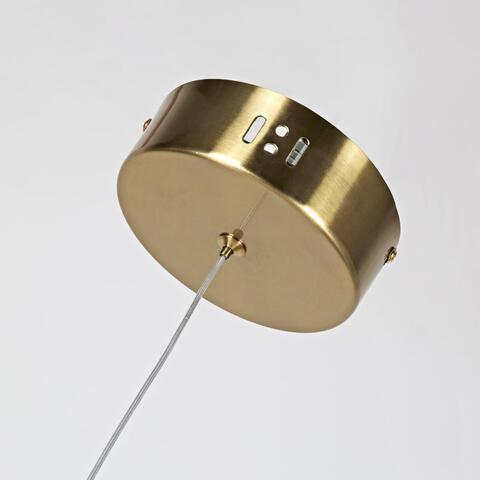 Подвесной светодиодный светильник Favourite Conceptus 2642-1P