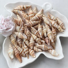 Подвеска Ракушка с позолотой 27-42 на 8-15 мм, РК048