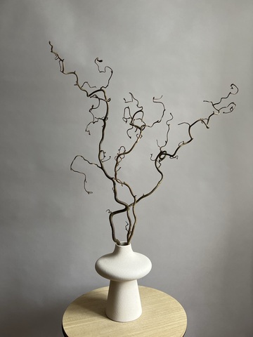 Корилус 100 см