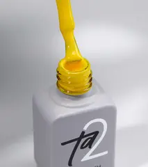 Гель-лак Ta2 / COLOR GEL POLISH №004